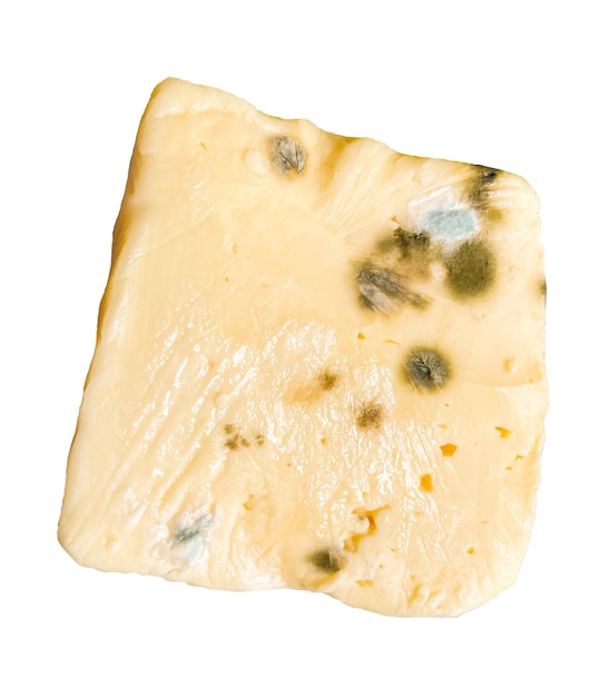 Moldy piece of cheese on a white background