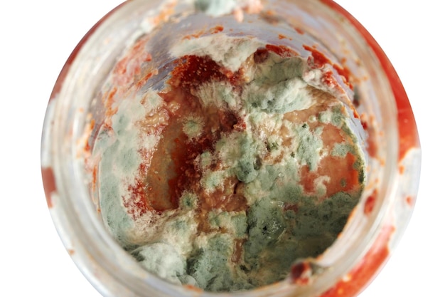 Moldy tomato paste in jar