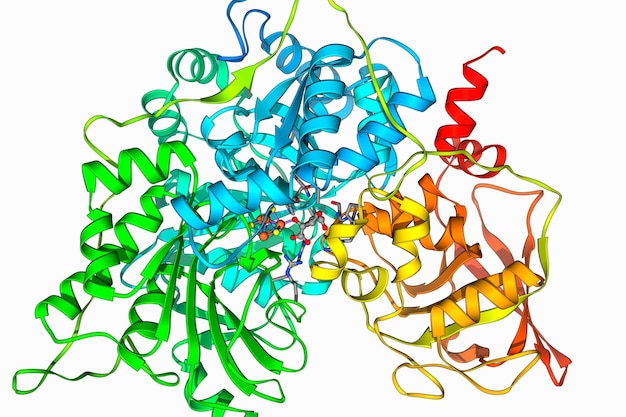 Photo molecular structure of cholera toxin