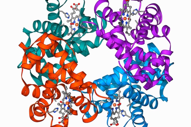 Photo molecular structure of sodiumpotassium pump