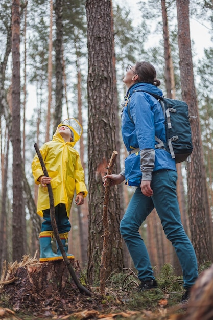 Mom and child walking in the forest after the rain in raincoats together looking at the sky