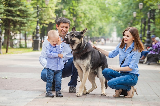 街で羊飼いの犬と散歩中のお母さん、お父さんと息子。犬は赤ちゃんをなめる