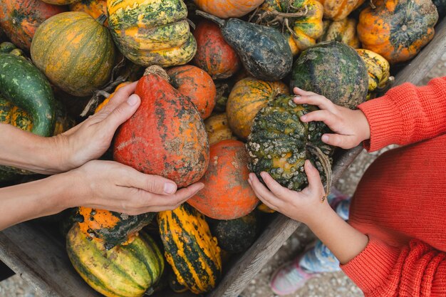お母さんと娘がカボチャを選ぶ農場市場で女性と子供の手に異なる色のカボチャがある家族が秋の休日に飾りや料理用にカボチャを選ぶ