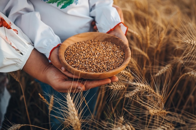 Mom and daughter holding wheat grain in the field harvest concept