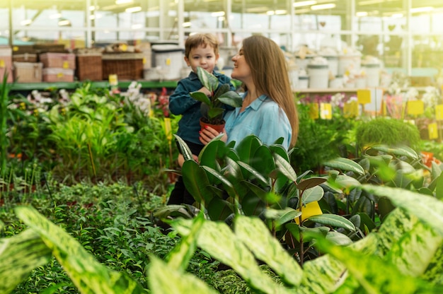 植物屋のママと彼女の男の子は植物を選びます。温室でのガーデニング。植物園、花の栽培、園芸産業のコンセプト