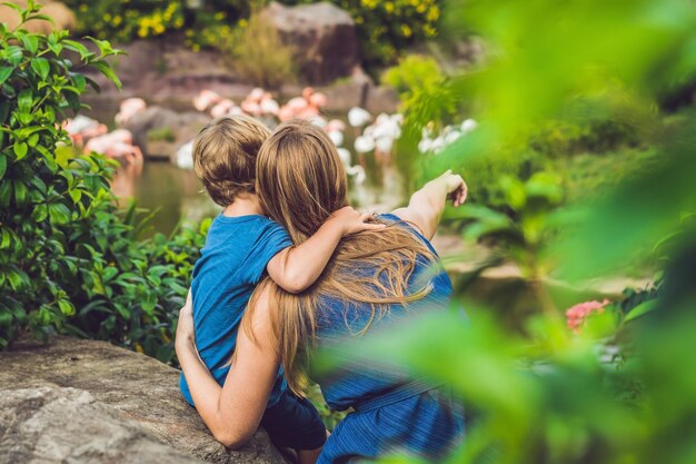 Mom and son are looking at the flock of birds of pink flamingos on a pond