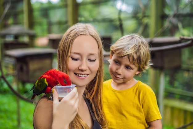 Mom and son feed the parrot in the park Spending time with kids concept