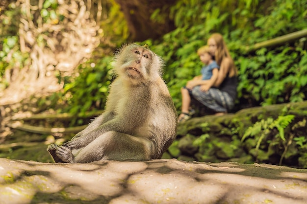 Mom and son travelers discovering Ubud forest in Monkey forest, Bali Indonesia. Traveling with children concept.