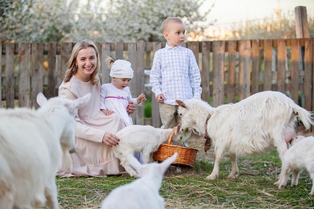 Mom with a little daughter feeds a goat