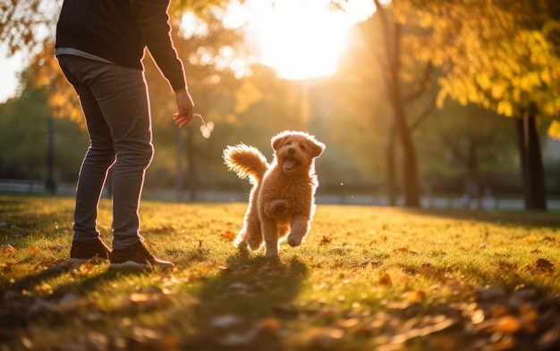 A moment of shared joy between dog and owner