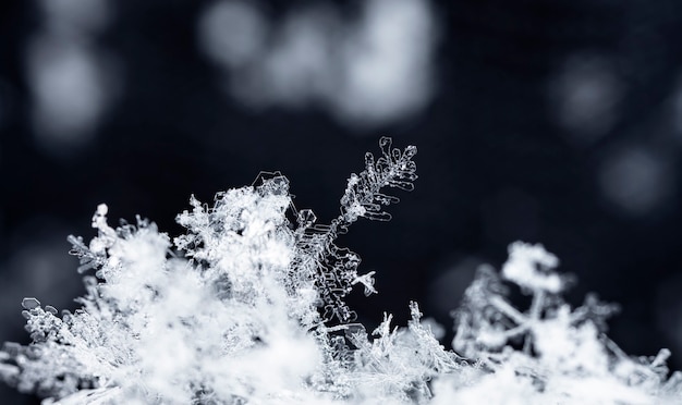 momentopname van een kleine sneeuwvlok genomen tijdens een sneeuwval