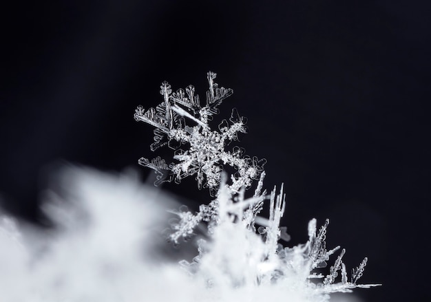 momentopname van een kleine sneeuwvlok genomen tijdens een sneeuwval