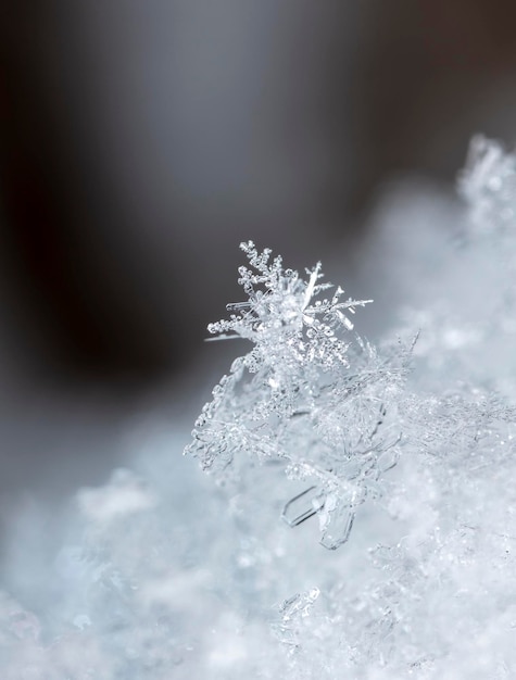 momentopname van een kleine sneeuwvlok genomen tijdens een sneeuwval