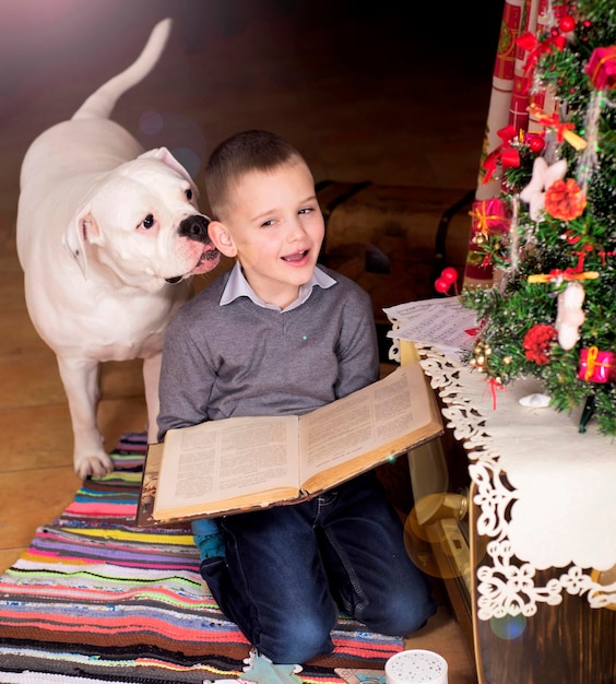 Moments of childhood Christmas holidays concept The boy next to the Christmas tree at home The child reads a book and plays with a large white dog breed American Bulldog Joy and happiness