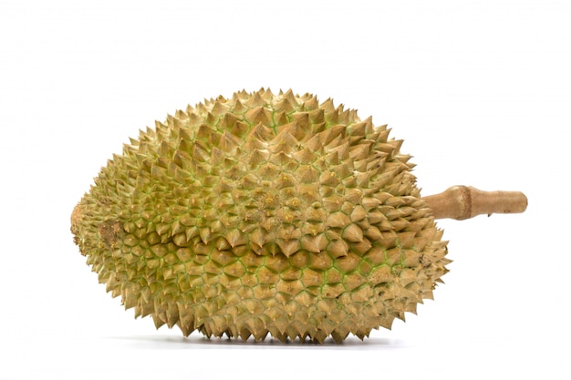 Mon Thong durian fruit op witte achtergrond