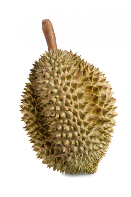 Photo mon thong durian fruit
