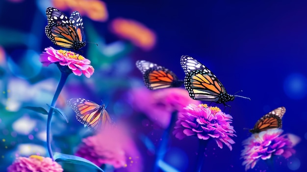 Photo monarch orange butterflies and pink summer flowers in a fairy summer garden