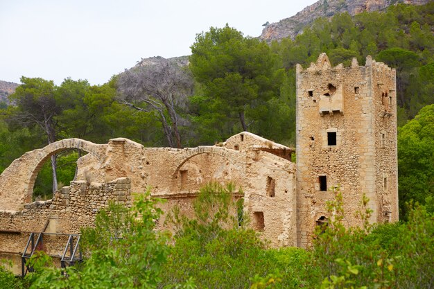 monastery Jeronimo Nuestra senyora Murta Alzira