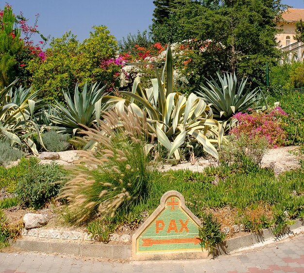 Photo monastery of the silent monks at latrun