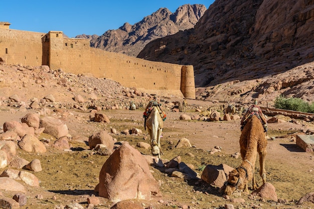 Monastery of St Catherine and mountains near of Moses mountain Sinai Egypt