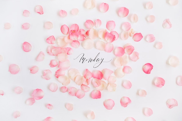 "Monday" written with calligraphy and floral pattern with pink rose petals