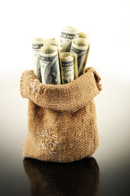 Money in bag on light background