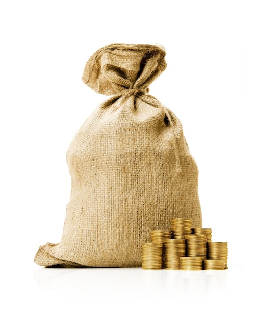 Money Bag with Golden Coins