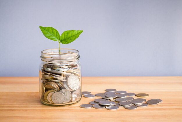 Money Coin in a Bottle with growing plant on wooden desk, Concept saving money.