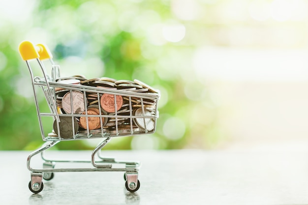 Money coin in mini shopping cart or trolley against blurred natural green background