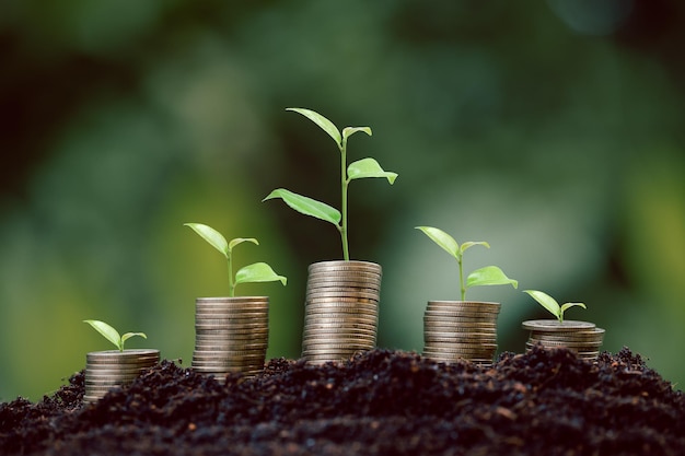 Money coin stack with seedling plant growing on green nature environment background interest bank business investment growth idea grow loan saving earning economic finance and accounting concept