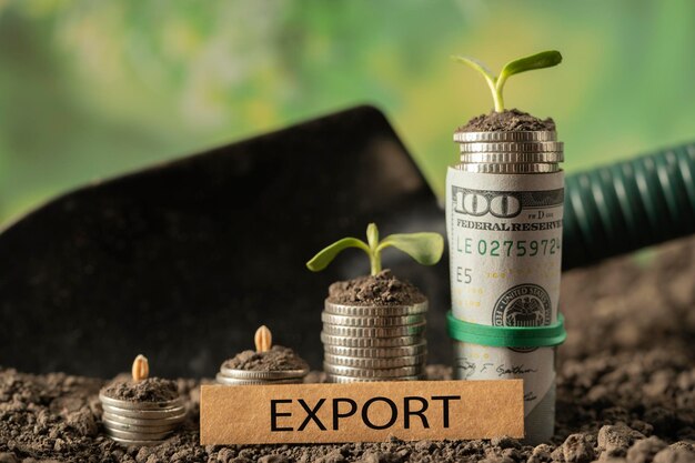 Money export