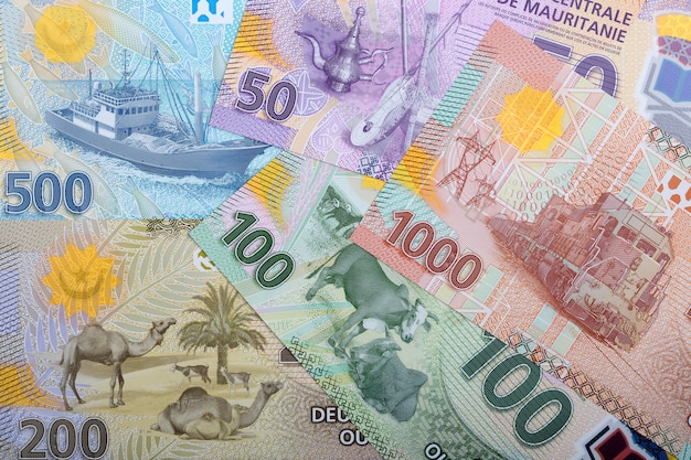 Money from Mauritania, a business background 
