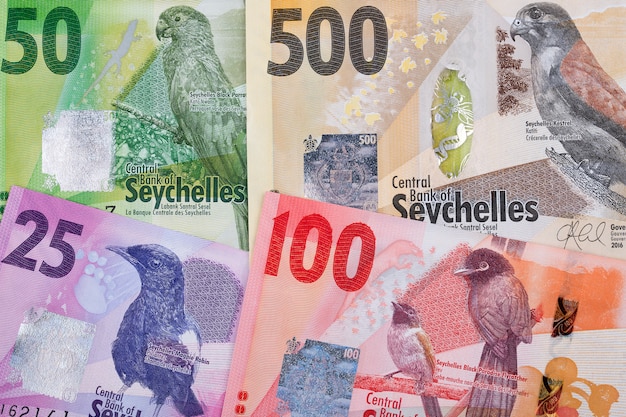 Фото Деньги с сейшельских островов бизнес фон