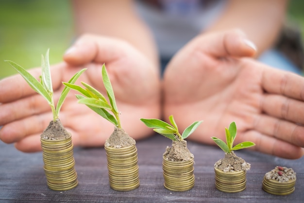 돈 성장 개념, 사업 성공 개념, 동전 돈 더미에 성장하는 나무
