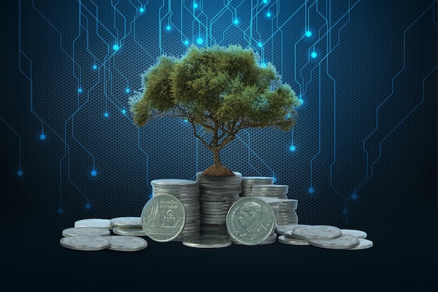 Money growth Saving money Upper tree coins to shown concept