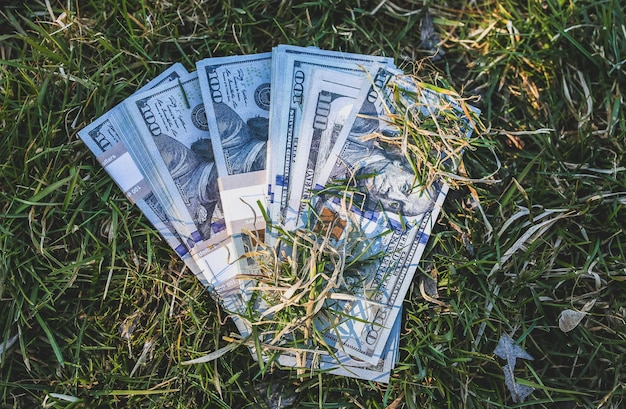 Money lying in the grass. Dollars outdoors.