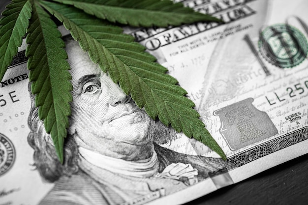 Photo money and marijuana concept of business medicine and selling hemp drugs