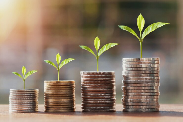 Photo money stack and young plant growing step. concept finance accounting