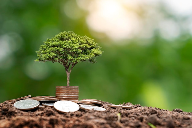 Albero dei soldi che cresce con le monete sul suolo idea di crescita finanziaria o di investimento aumento dei profitti e delle plusvalenze