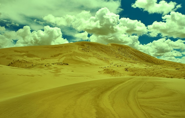 写真 モンゴルサンズモンゴルエルス砂丘砂漠