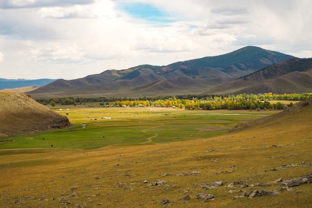 山を背景にしたモンゴルの牧草地