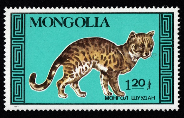 Mongolian postage stamp dedicated to thoroughbred cat Feline