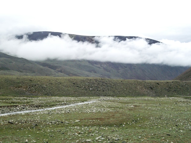 モンゴル道路steppe Asia