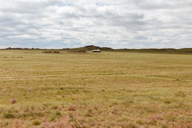 Mongolian steppe, beautiful landscape