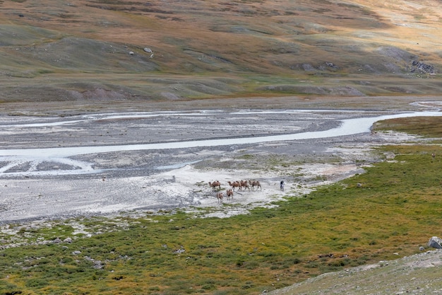 Mongolië landschap. Nationaal park Altai Tavan Bogd in Bayar-Ulgii