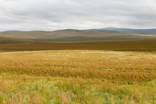 Mongoolse steppe, prachtig landschap met bewolkte hemel.