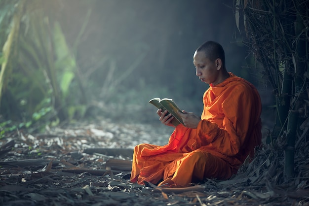 Photo monk reading book, thailand.