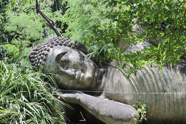 The monk was sleeping peacefully.