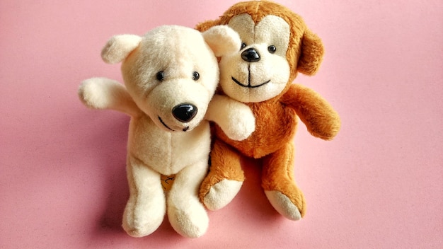 Monkey and bear animals kids doll