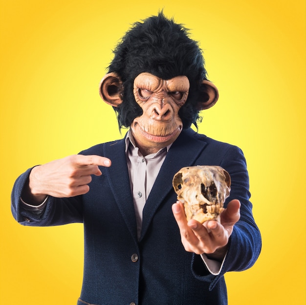 Monkey man holding a skull on colorful background